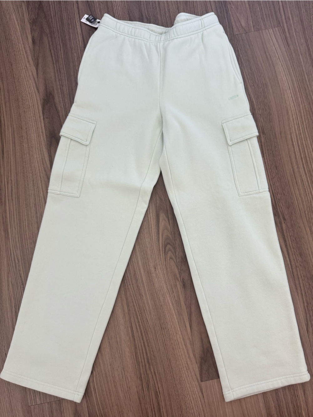 Aritzia Cozy Sweatfleece Mega Cargo Sweatpant - BRAND NWT